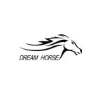 DREAM HORSE