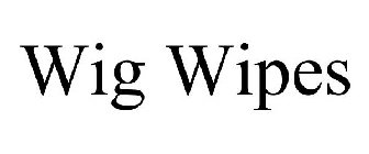 WIG WIPES