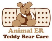 ANIMAL ER TEDDY BEAR CARE