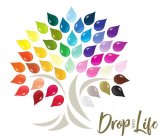 DROP INTO LIFE