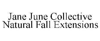 JANE JUNE COLLECTIVE NATURAL FALL EXTENSIONS