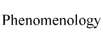 PHENOMENOLOGY