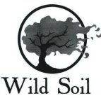 WILD SOIL