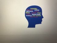 IRRITABILITY, DEPRESSION, ANXIETY, NIGHTMARES, TRAUMA, ABUSE, SADNESS, VICTIM, TRAUMA, MENTAL HEALTH, LONELINESS, POST-TRAUMATIC STRESS DISORDER