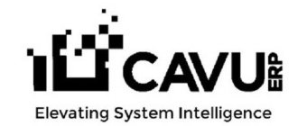CAVU ERP ELEVATING SYSTEM INTELLIGENCE