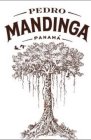 PEDRO MANDINGA PANAMA