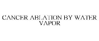 CANCER ABLATION BY WATER VAPOR