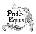 PRIDE EQUUS