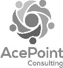 ACEPOINT CONSULTING