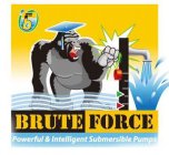 BRUTE FORCE POWERFUL & INTELLIGENT SUBMERSIBLE PUMPS