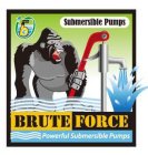 SUBMERSIBLE PUMPS BRUTE FORCE POWERFUL SUBMERSIBLE PUMPS