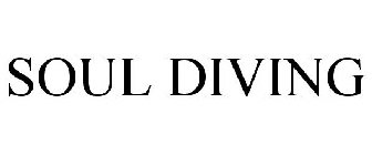 SOUL DIVING