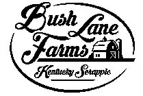 BUSH LANE FARMS KENTUCKY SCRAPPLE