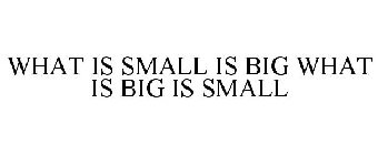 WHAT IS SMALL IS BIG WHAT IS BIG IS SMALL