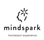 MINDSPARK MONTESSORI EXPERIENCE