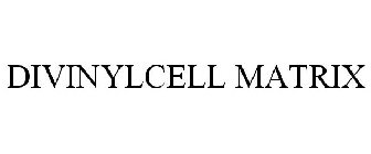 DIVINYCELL MATRIX