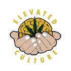 ELEVATED CULTURE