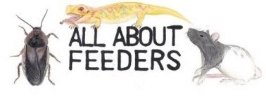 ALL ABOUT FEEDERS