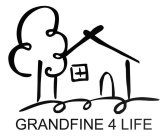 GRANDFINE 4 LIFE