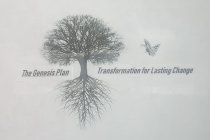 THE GENESIS PLAN TRANSFORMATION FOR LASTING CHANGE