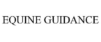 EQUINE GUIDANCE