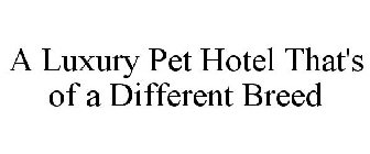 A LUXURY PET HOTEL THAT'S OF A DIFFERENT BREED