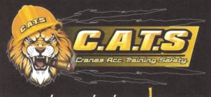 C.A.T.S CRANES ACC TRAINING SAFETY
