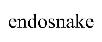 ENDOSNAKE