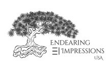 ENDEARING IMPRESSIONS USA