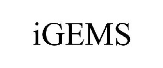 IGEMS