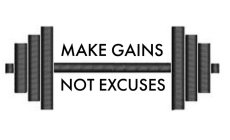MAKE GAINS NOT EXCUSES