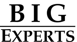 BIG EXPERTS