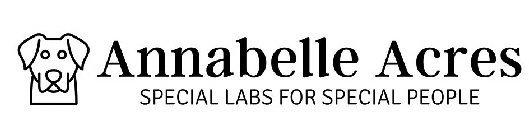 ANNABELLE ACRES SPECIAL LABS FOR SPECIAL PEOPLE