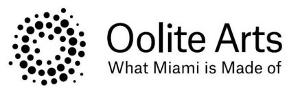 OOLITE ARTS WHAT MIAMI IS MADE OF