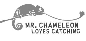 MR. CHAMELEON LOVES CATCHING