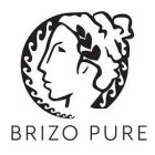 BRIZO PURE