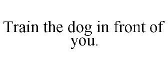 TRAIN THE DOG IN FRONT OF YOU.