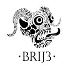 BRIJ3