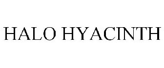 HALO HYACINTH