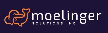 MOELINGER SOLUTIONS INC.