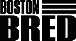 BOSTON BRED