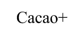 CACAO+