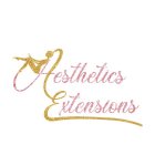 AESTHETICS EXTENSIONS