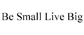 BE SMALL LIVE BIG