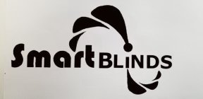 SMART BLINDS