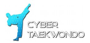 CYBER TAEKWONDO