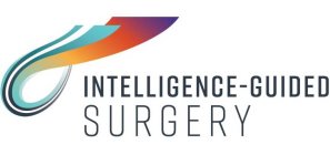 INTELLIGENCE-GUIDED SURGERY