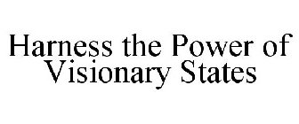 HARNESS THE POWER OF VISIONARY STATES