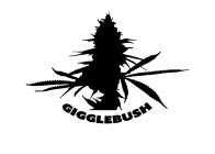 GIGGLEBUSH