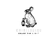 CHIBILOULOU CHASE THE LIGHT